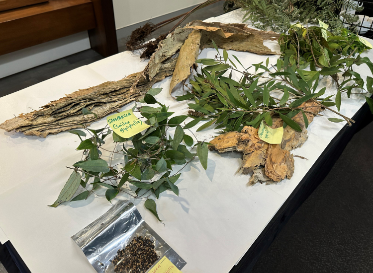 Various leaves, bark and seeds displayed on a table