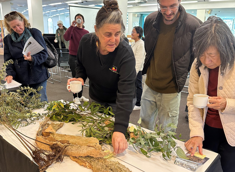 Three people standing and observing trees, bark and seeds on a table