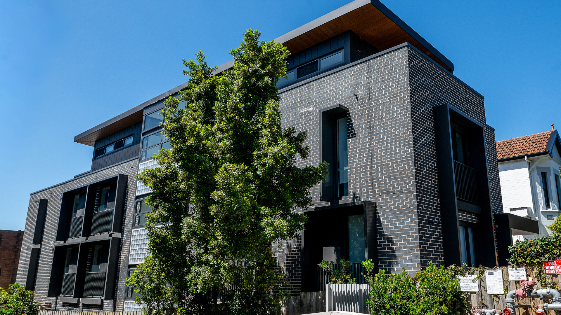 A dark brick building with a green tree outside with a bright blue sky