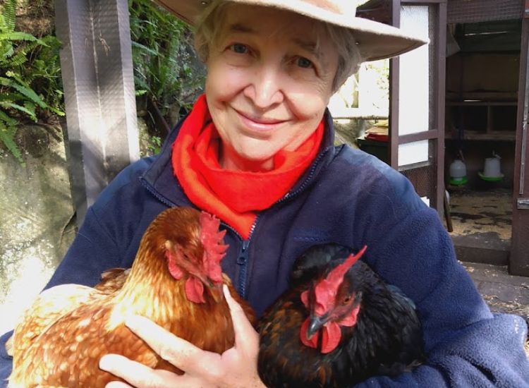 lady in red scarf, navy top and hat holding a orange and black chicken