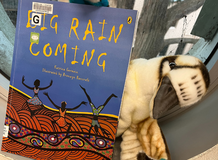 A picture book called BIG RAIN COMING and a soft toy kookaburra