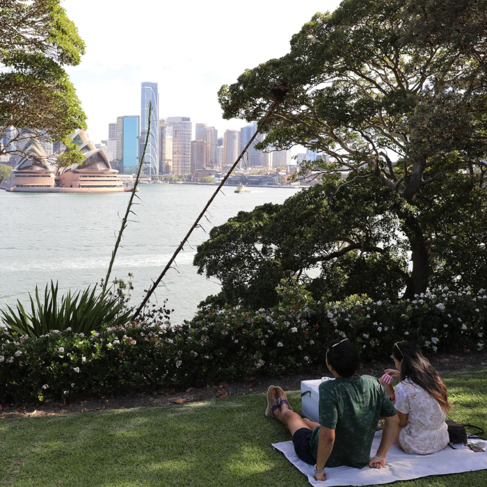Admiralty House Picnic on the Lawns