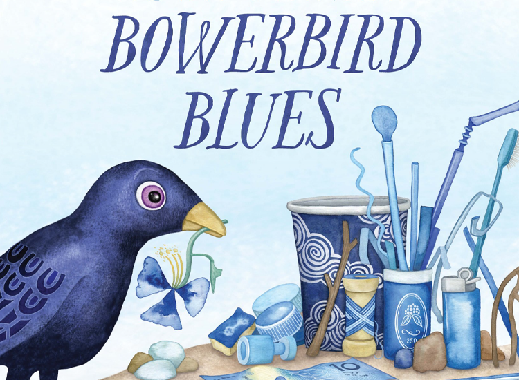 Illustration of a bowerbird featured in Aura Parker's children's book Bowerbird Blues.