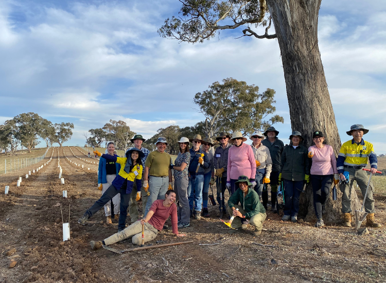 A group of 16 participants from the Building Bridges to Boorowa 2024 trip, smiling and posing in front of rows of new planting in a paddock.