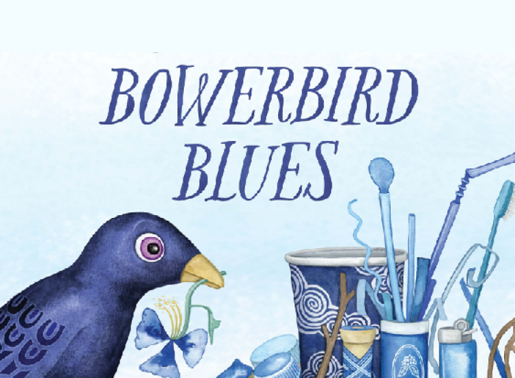 bowerbird with blue collected objects illustration