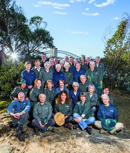 North Sydney Council Bushcare Volunteers