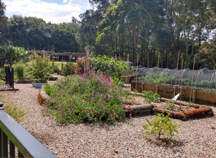 Registry Precinct, Community Garden