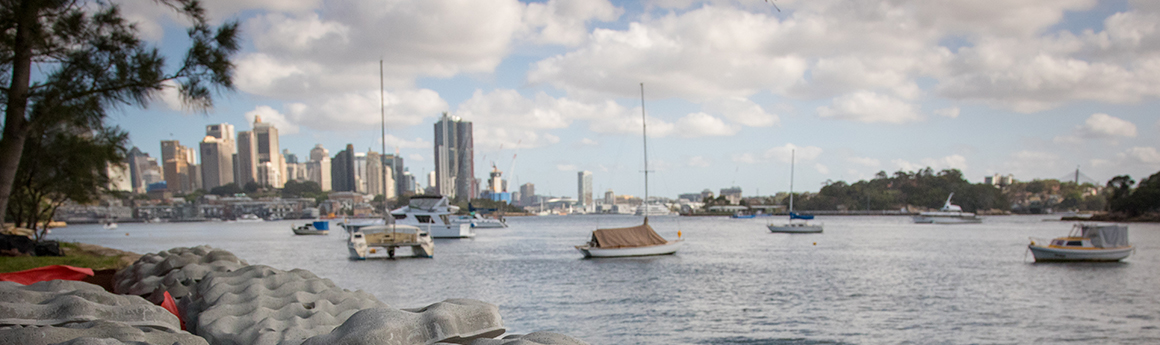 image taken from shore of boats in the harbour with city buildings far in background