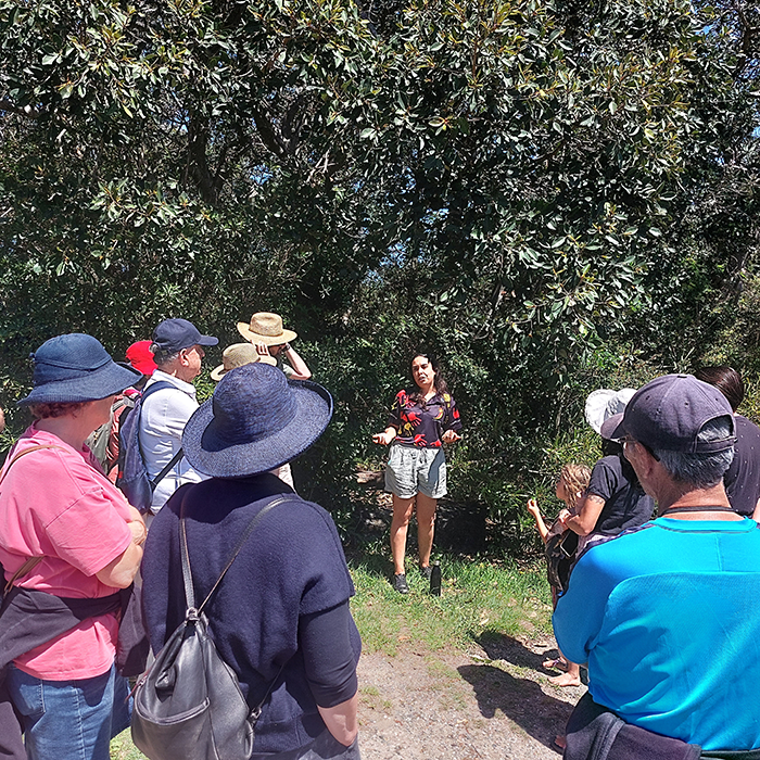 Indigenous Culture Family Walk and Stone Art Workshop