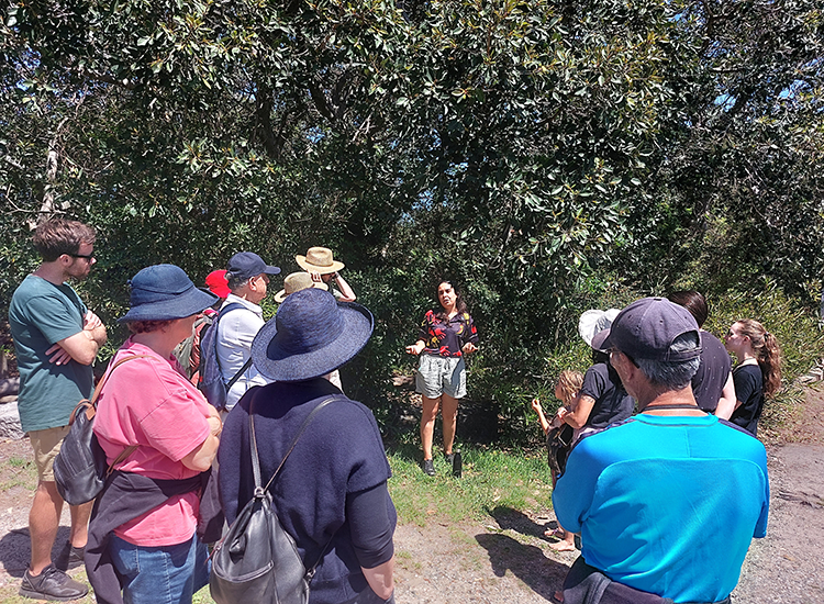 Cultural walk