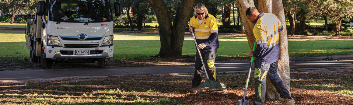 two Council staff standing under a tree. One holds a rake and the other holds a spade