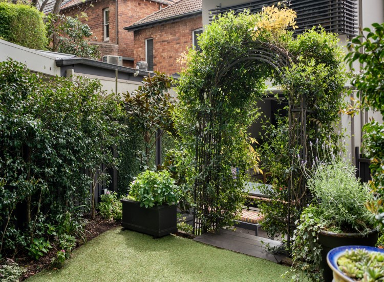 A thriving backyard garden with a vine arch, framed by two  black planter boxes and manicured grass.