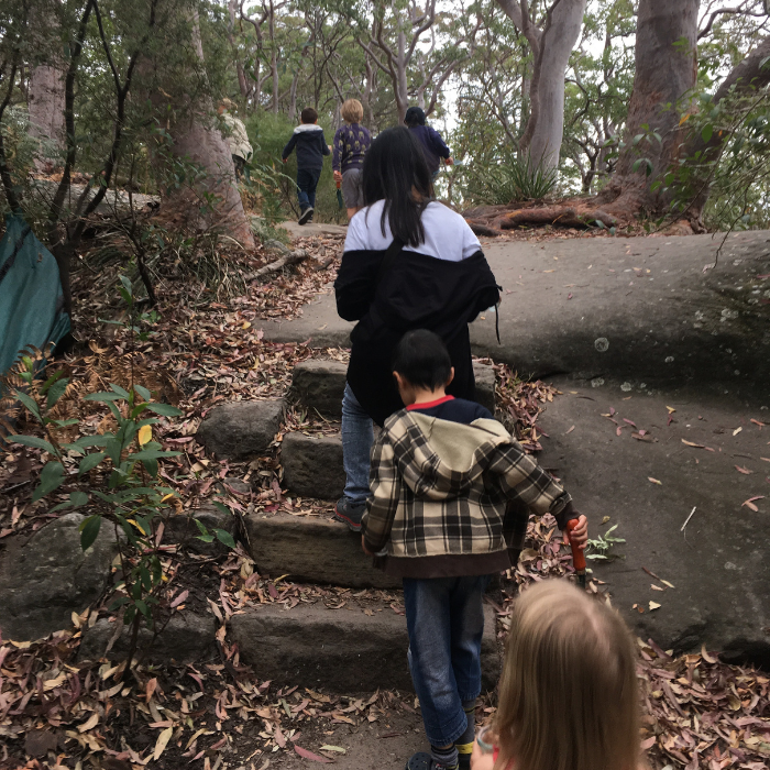 Bushcare Adventures: Family Bushwalk