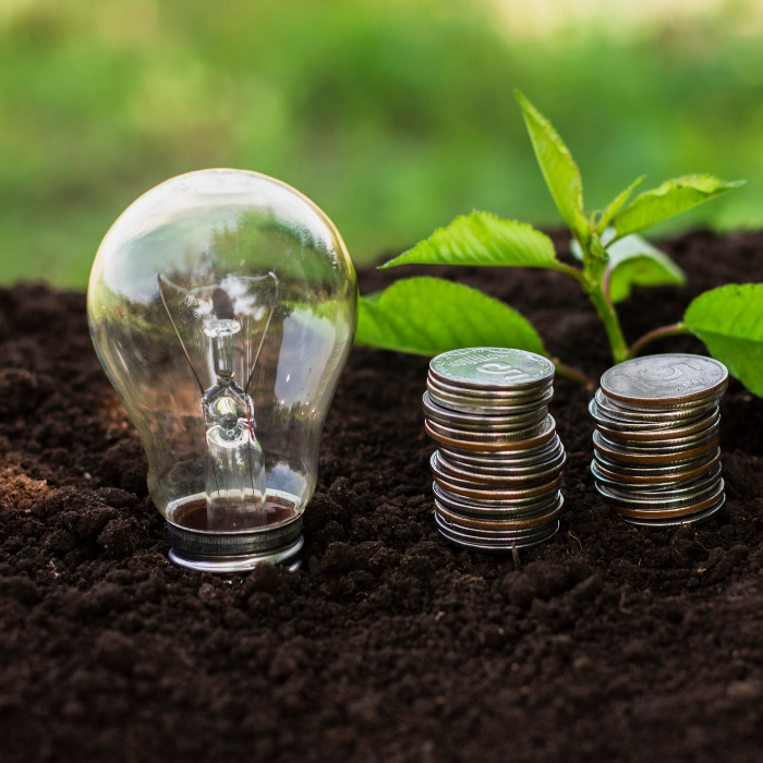 A lightbulb and two stacks of coins sitting on soil, with a sprouting plant in the background