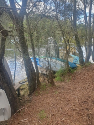 Boats stored by a harbour and trees