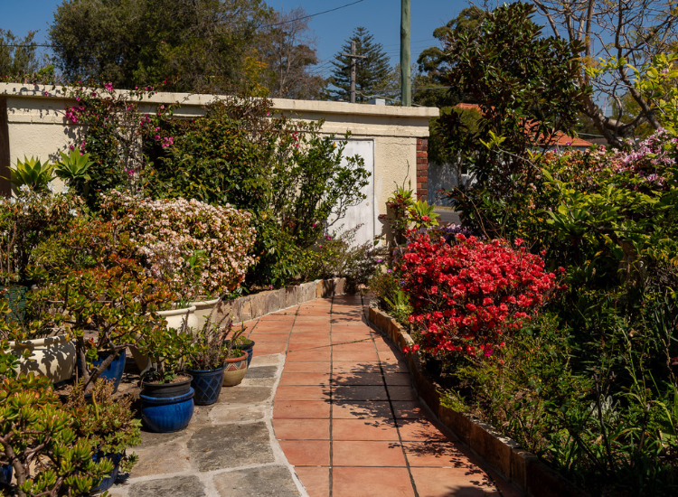 Outdoor garden and pathway