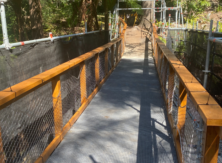 Hunts lookout footbridge in Cremorne Reserve