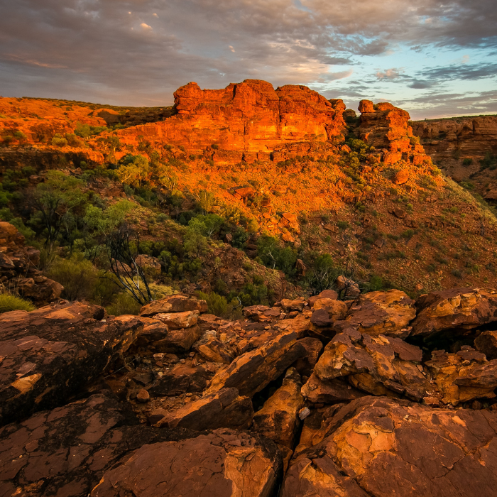 Photo of outback Australia at sunset.