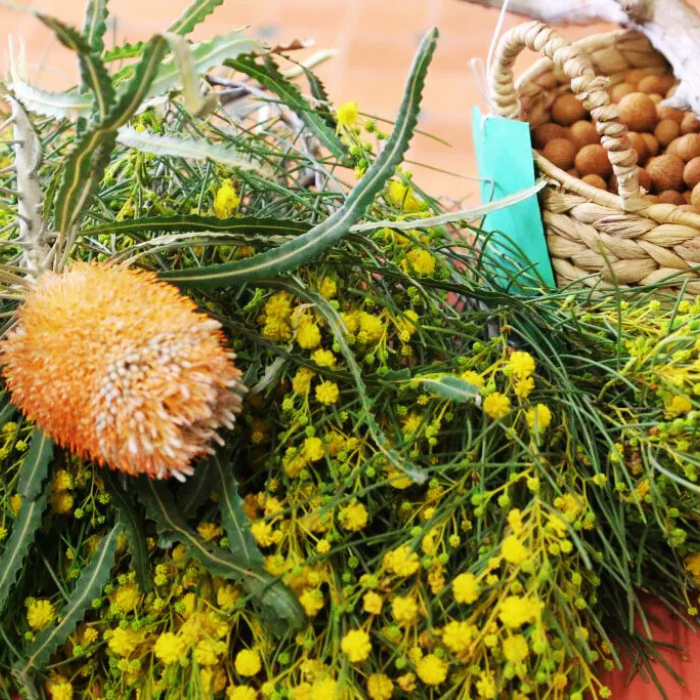Indigenous traditional medicine and healing