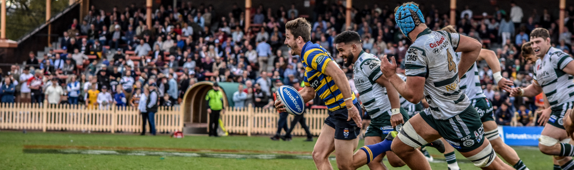 North sydney oval