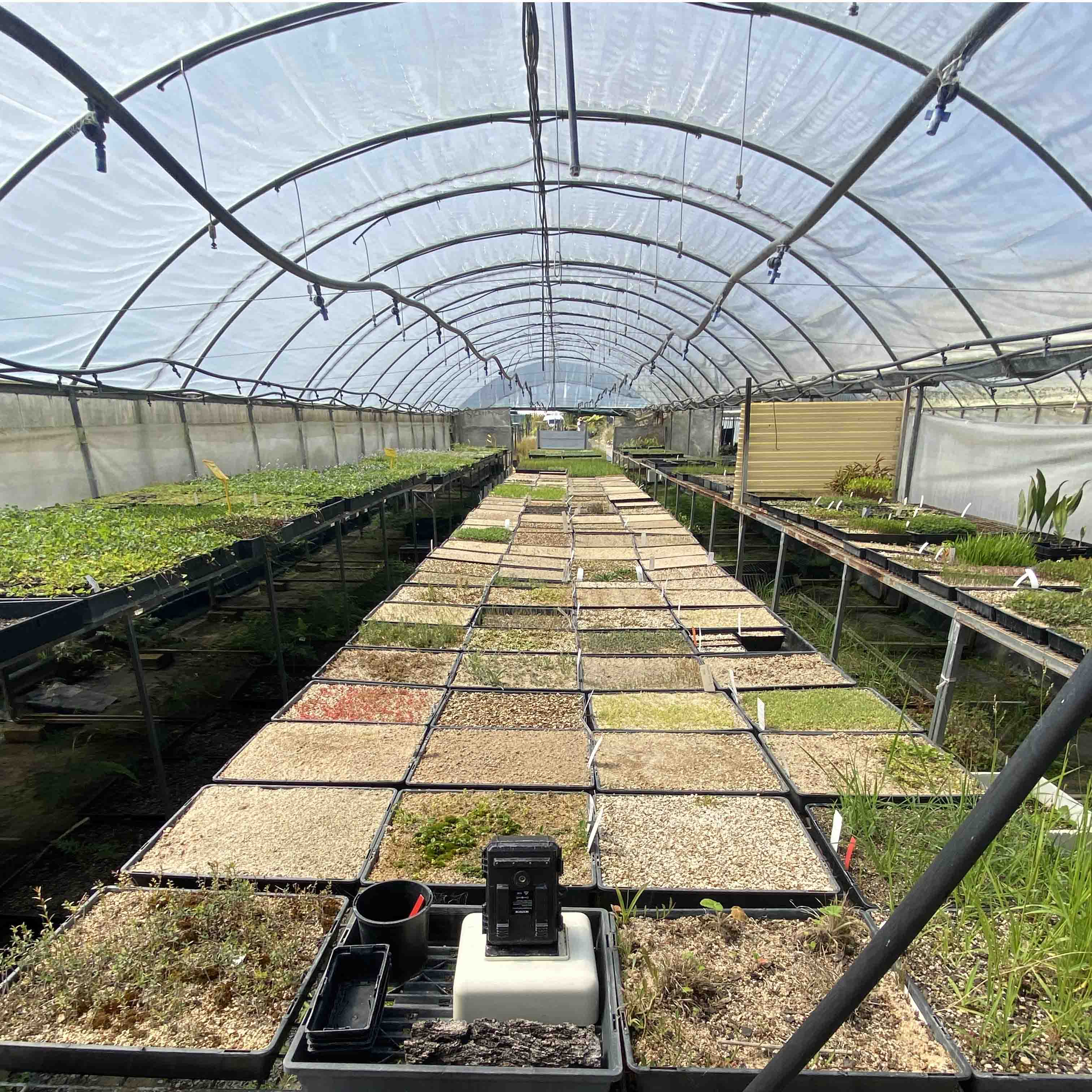 Hothouse igloo