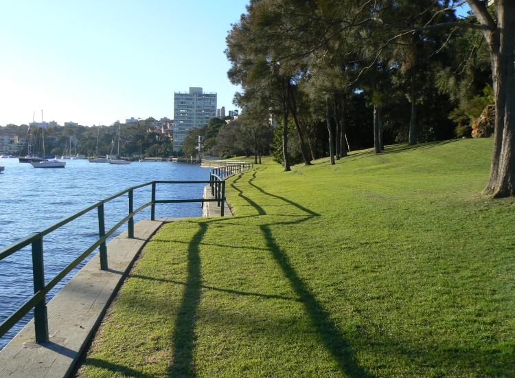 Green grass of park meeting the harbour