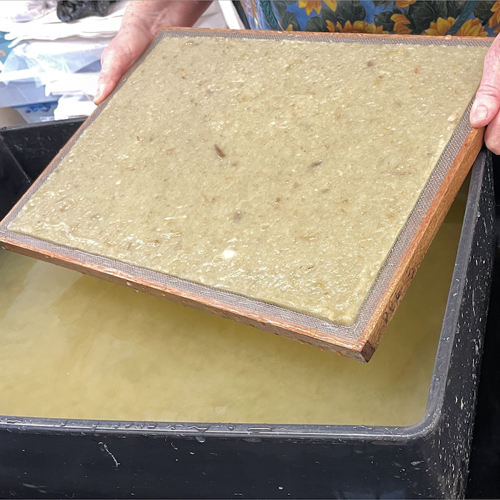 Introduction to Papermaking