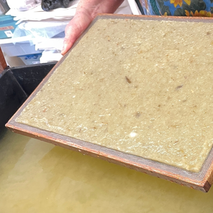 Introduction to Papermaking Workshop