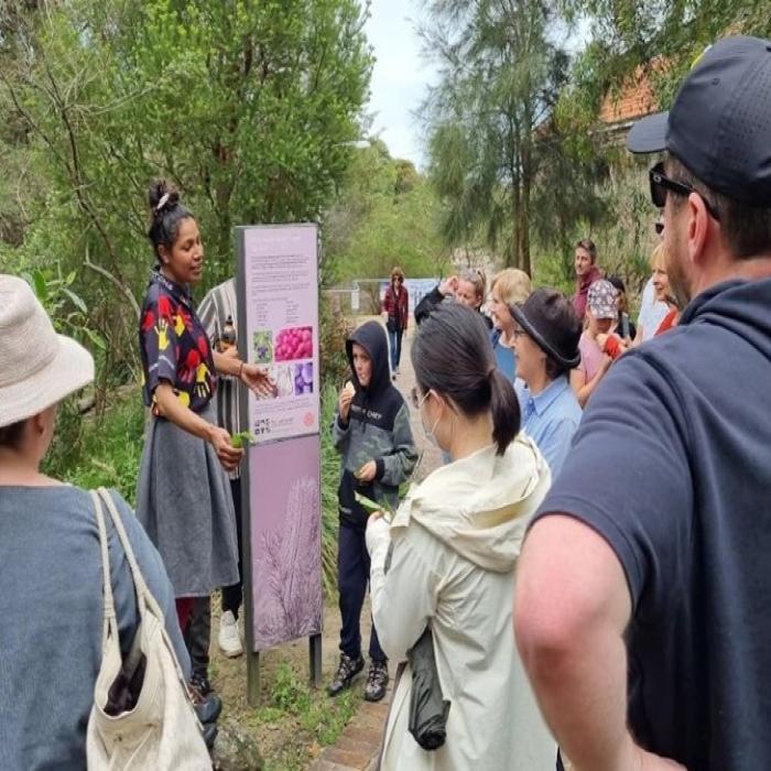 Indigenous cultural tours