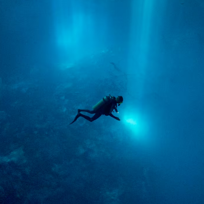 Acclaimed Documentary Diving Into The Darkness