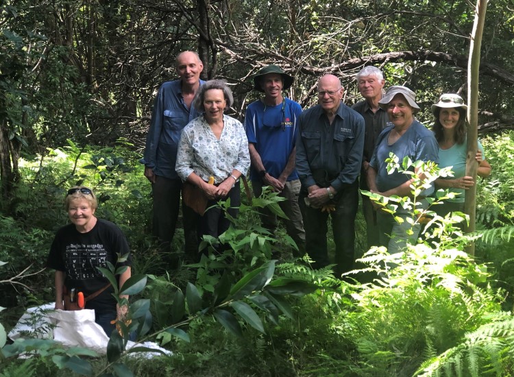 Primrose Park Bushcare group in February 2021