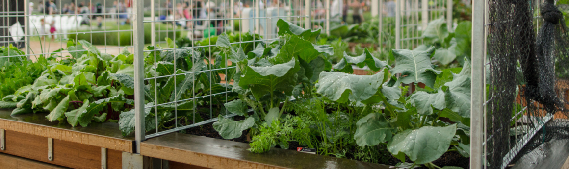 Raised garden bed