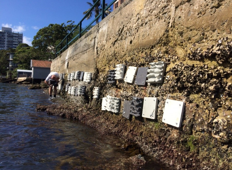Seawall panels