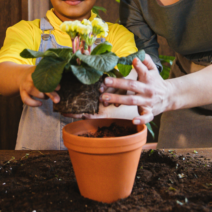 A planter pot being filled with lovely flowers held by a child and adult