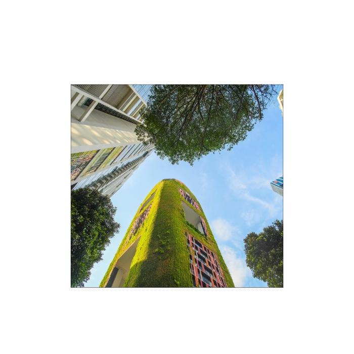 Strata Rebates