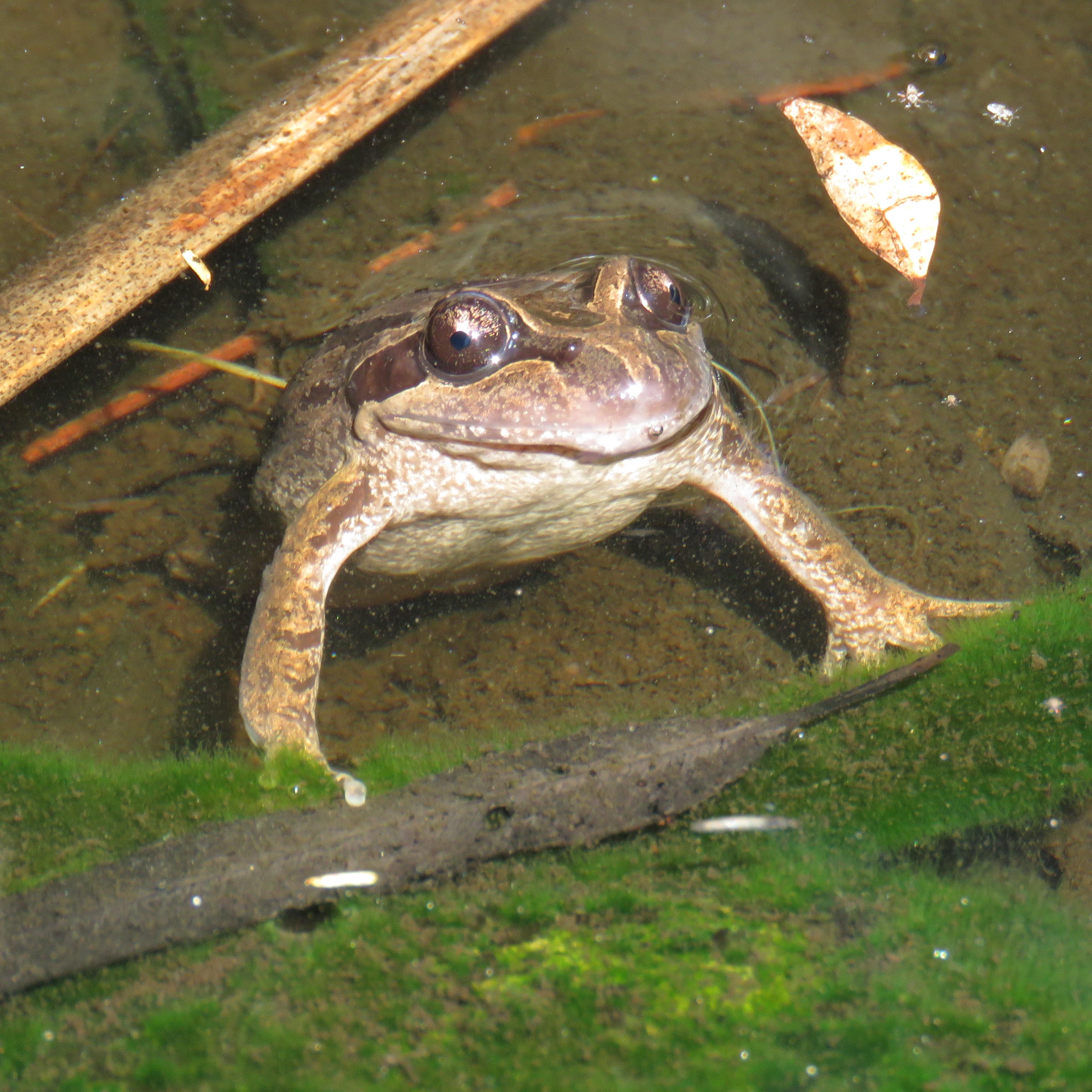 Wildlife Habitat Tour