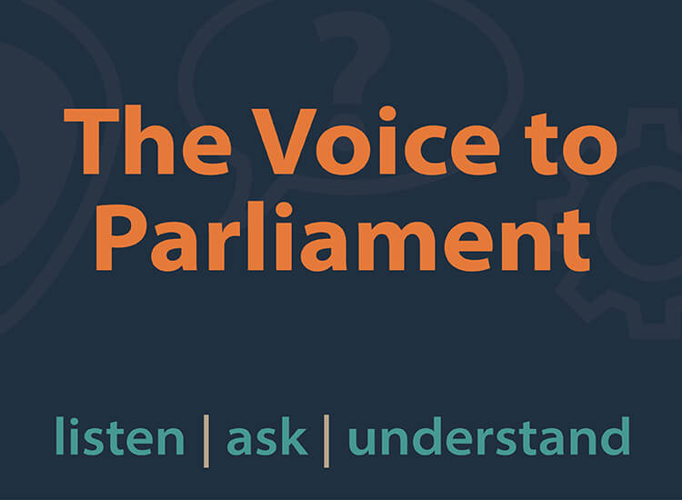 The voice to parliament