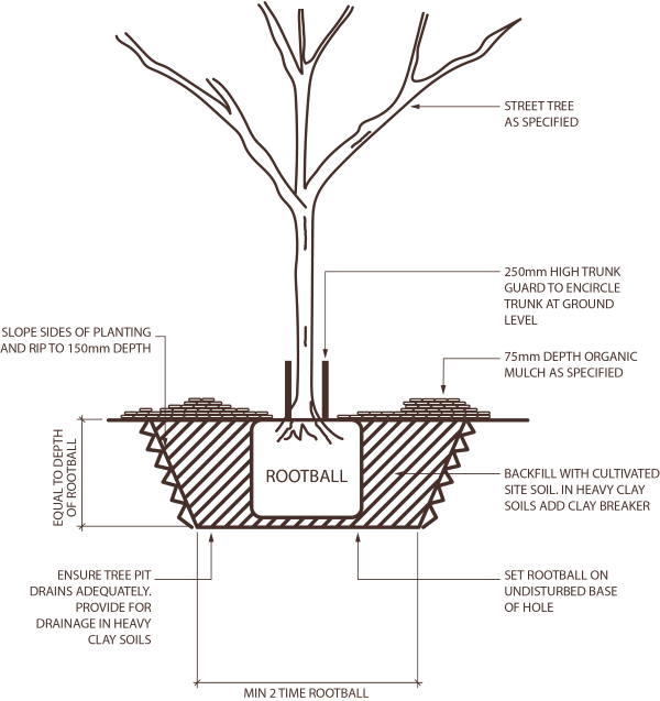 Diagram of tree being planted