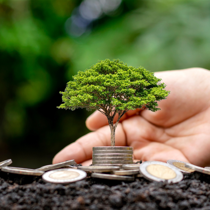 Small tree growing out of coins