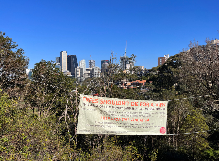 Sign displaying 'trees shouldn't die for a view' hung in bushland with city skyline in background