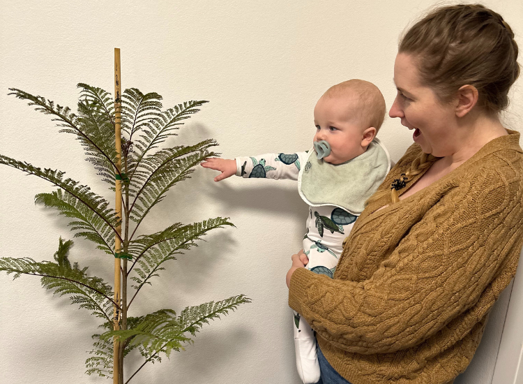 Trees for Newborns