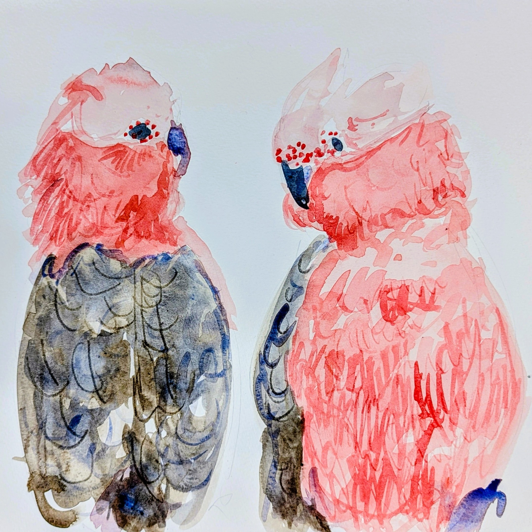 Watercolour workshop