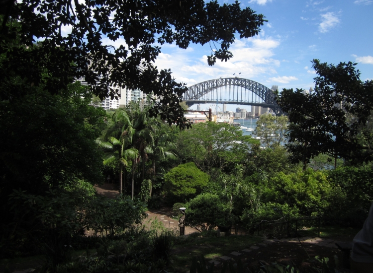 Lavender Bay Precinct, Wendy Whiteleys with Harbour Bridge