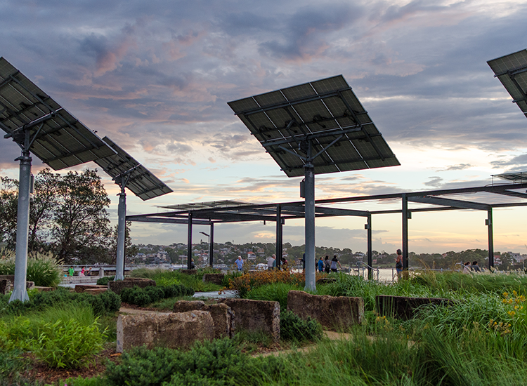 Coal Loader solar panels