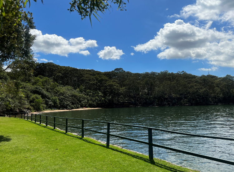 A view of Badangi Reserve from Berry Island on a sunny day: thick bushland and a small beach where the bush meets the harbour water, with green grass in the foreground.