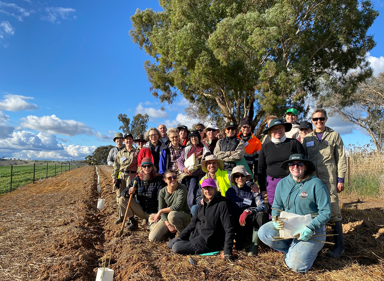 A group of volunteers, councillors and Council staff posing for a group photo beside a row of plants