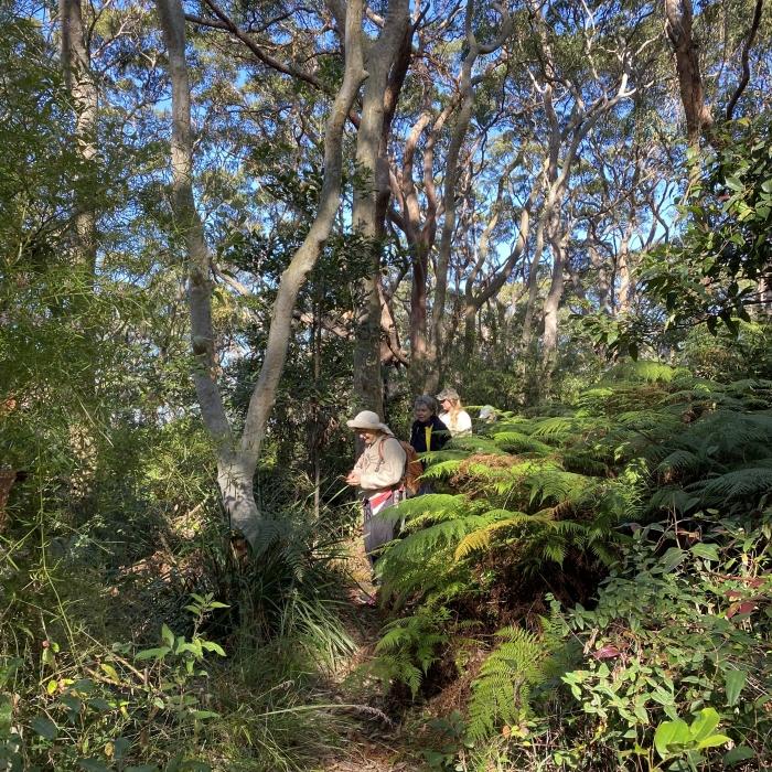Bushcare Adventures: Winter Bushwalk