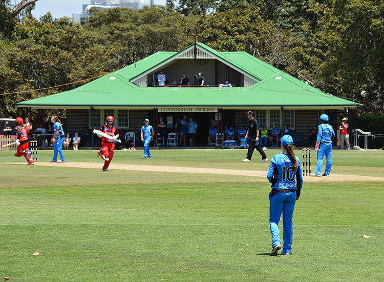 Cricket at Bon Andrews Oval