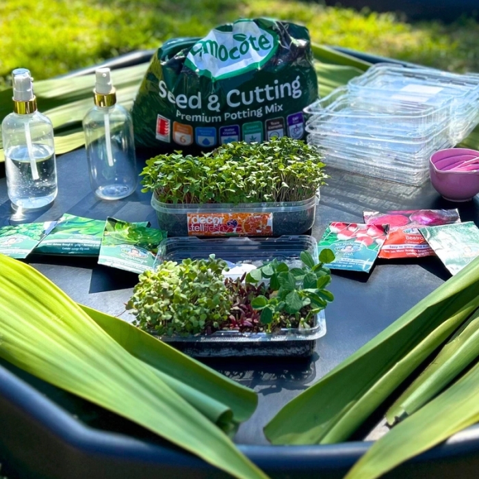 Materials for garden playgroup including spray bottles, potting mix, seed packets, seedlings, measuring cups