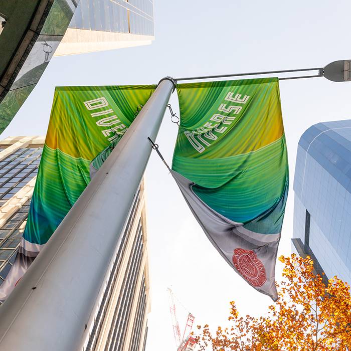 CBD banners